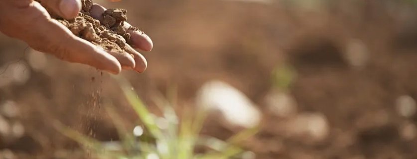 Scheduled for Oct. 24-26, the EU Soil Observatory Stakeholders Forum is designed to engage all stakeholders involved in soil protection. Photo: CC0 1.0 Universal (CC0 1.0) Public Domain Dedication