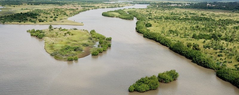 Un progetto di ripristino delle mangrovie lungo le coste fluviali nel Togo. FOTO: Archivio ONU.