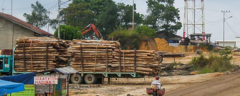 Pulp and paper sector is one of the major drivers of deforestation in Indonesia. Photo: Sofi Mardiah/CIFOR Attribution-NonCommercial-NoDerivs 2.0 Generic (CC BY-NC-ND 2.0)