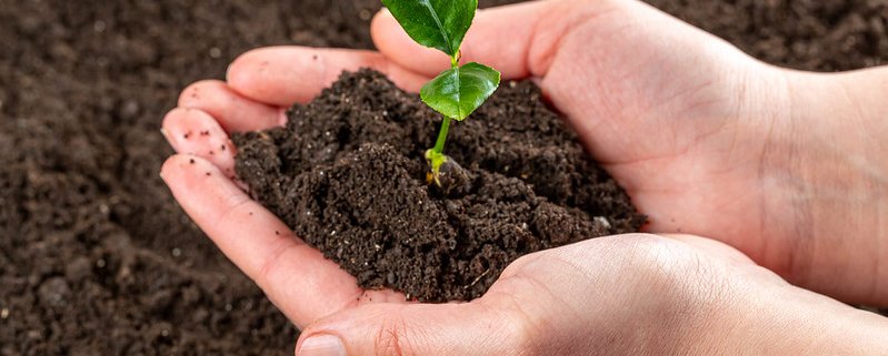 By applying the technique on a large scale, researchers say, it would be possible to address the problem of global soil pollution. Photo: Marco Verch https://www.flickr.com/photos/30478819@N08/51093188777 Attribution 2.0 Generic (CC BY 2.0) https://creativecommons.org/licenses/by/2.0/