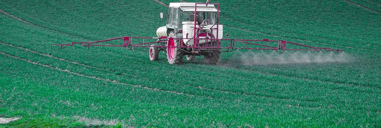 Il 44% della frutta e verdura presenta tracce di uno o più pesticidi, rivela il rapporto Stop Pesticidi di Legambiente. FOTO: Th G from Pixabay