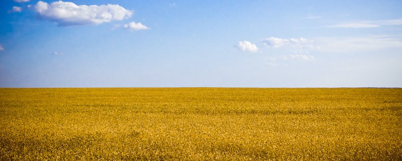 In Ukraine the agricultural sector is an important source of livelihood for about 13 million people. Photo: Ilya Attribution-ShareAlike 2.0 Generic (CC BY-SA 2.0)