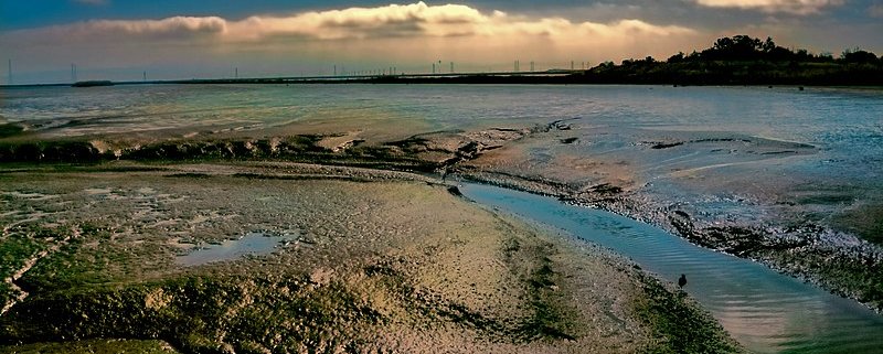 La diffusione della siccità è legata all’aumento delle temperature. Nel 2022 il numero di volte in cui sono stati battuti i record negativi di precipitazioni mensili è stato il terzo più alto dal 1979. Foto: bluesbby from Mountain View, USA Attribution 2.0 Generic (CC BY 2.0)
