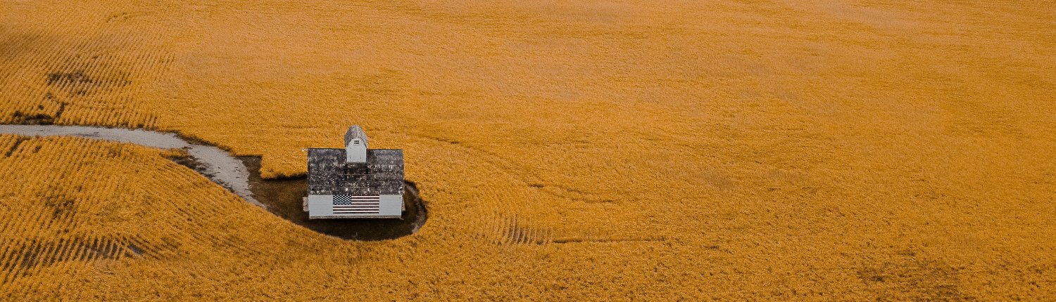 A causa dell'agricoltura moderna i tassi di erosione nelle praterie in Iowa, Minnesota, South Dakota, Nebraska e Kansas sono cresciuti di mille volte. FOTO: Austin Goode su Unsplash