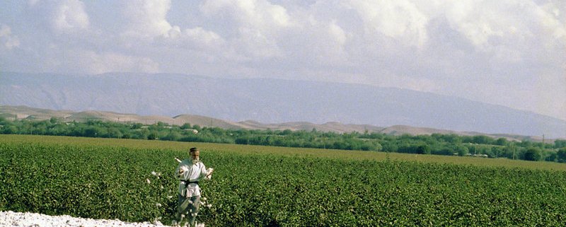 In Central Asia, agriculture and livestock are the sectors that contribute the most to GDP. Photo: Gennadiy Ratushenko / World Bank Attribution-NonCommercial-NoDerivs 2.0 Generic (CC BY-NC-ND 2.0)