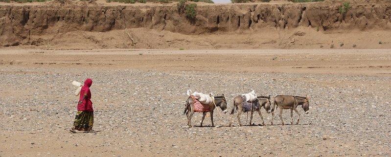 Flash droughts may be a prelude to a long-term water crisis. Photo: ©EU/ECHO/Anouk Delafortrie Attribution-NonCommercial-NoDerivs 2.0 Generic (CC BY-NC-ND 2.0)