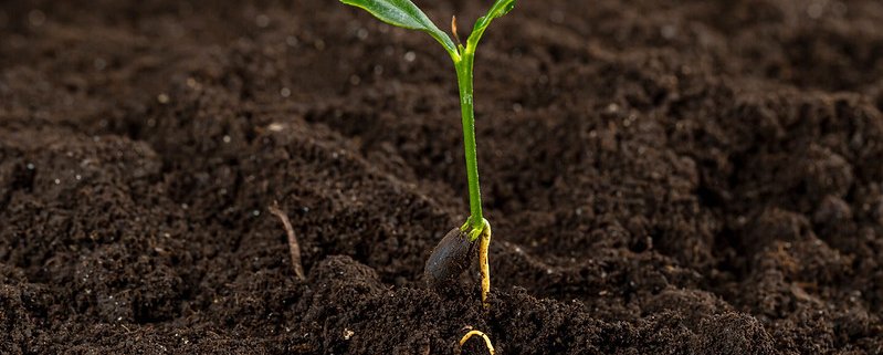 The application of statistical models in combination with spectroscopy makes it possible to assess the concentration of different elements in the soil. Photo: Marco Verch Attribution 2.0 Generic (CC BY 2.0)