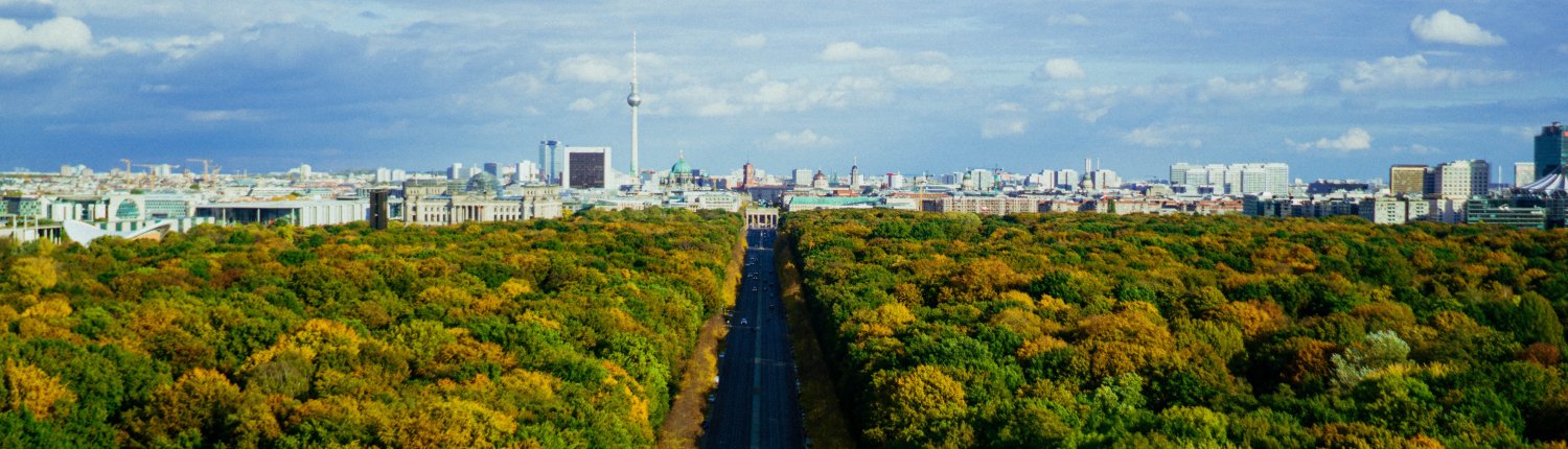 The study of the impact of urbanization on bees and other pollinators was carried out in the Berlin metropolitan area. PHOTO: Fabian Schneidereit on Unsplash