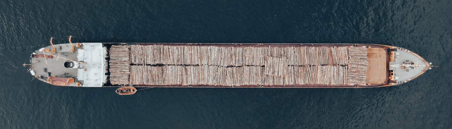 Nell'Unione europea saranno accettati solo prodotti deforestation-free. FOTO: Siarhei Palishchuk su Unsplash