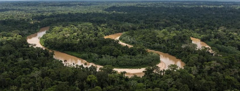 In the Amazon, in the absence of landowner exemptions, natural vegetation could have retained 2.4 billion tons of carbon. Photo: Rawpixel Public Domain Free CC0 Image