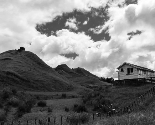 The antibiotic resistance study focused on soils in the Waikato region that are rich in cadmium and zinc. Photo: Pixabay lylsharain Content License Free use