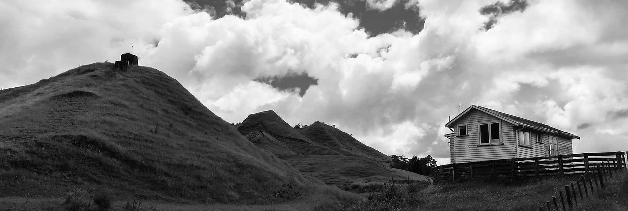 Lo studio sulla resistenza agli antibiotici si è concentrato sui terreni della regione di Waikato che sono ricchi di cadmio e zinco. Foto: Pixabay lylsharain Content License Uso gratuito