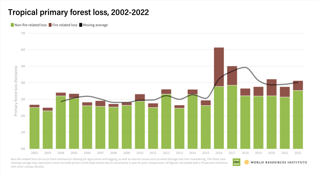 Nel 2022 la deforestazione tropicale è aumentata del 10%. Fonte: World Resources Institute 2023
