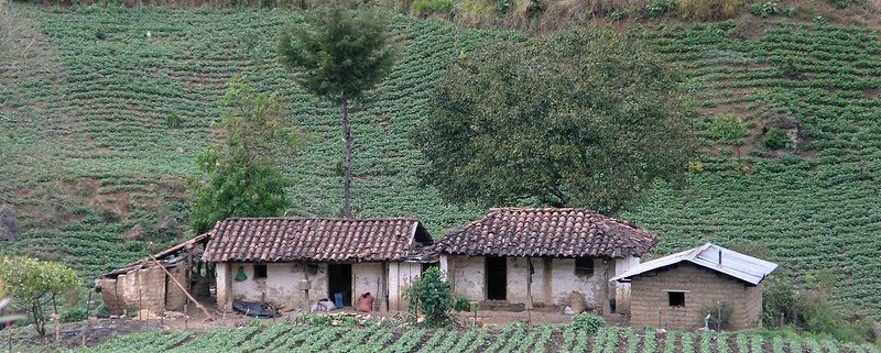 In Guatemala l’agroecologia è considerata una risorsa chiave per contrastare gli effetti negativi della diffusione della monocoltura. Foto: Lon&Queta Attribution-NonCommercial-ShareAlike 2.0 Generic (CC BY-NC-SA 2.0)