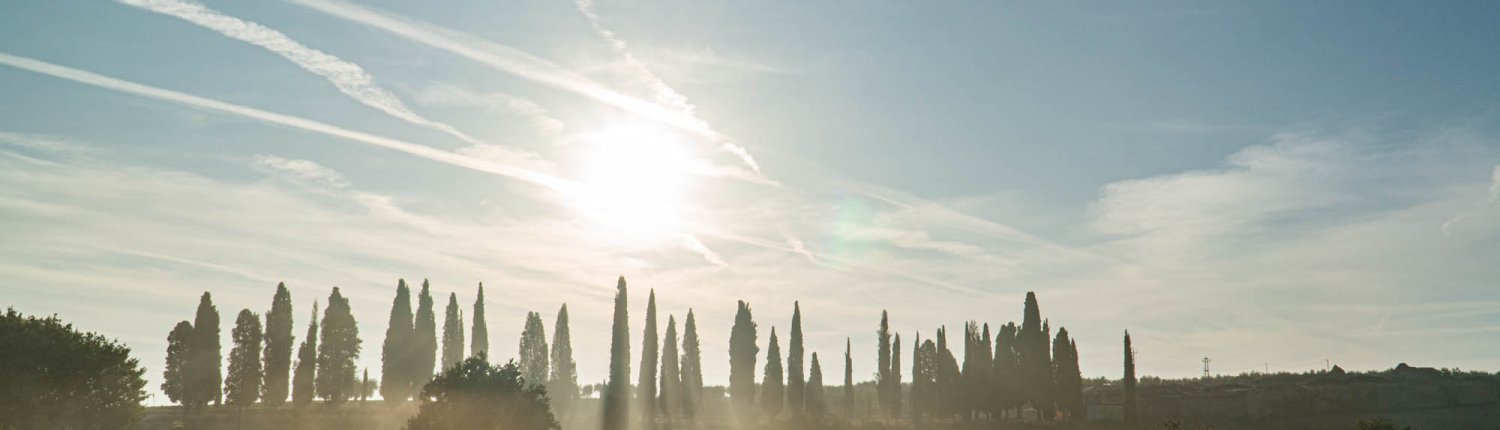 Per costruire cicli del carbonio sostenibili sono essenziali tecnologie per soluzioni nature-based in grado di riportare sostanza organica nel suolo. FOTO: Matteo Berlenga