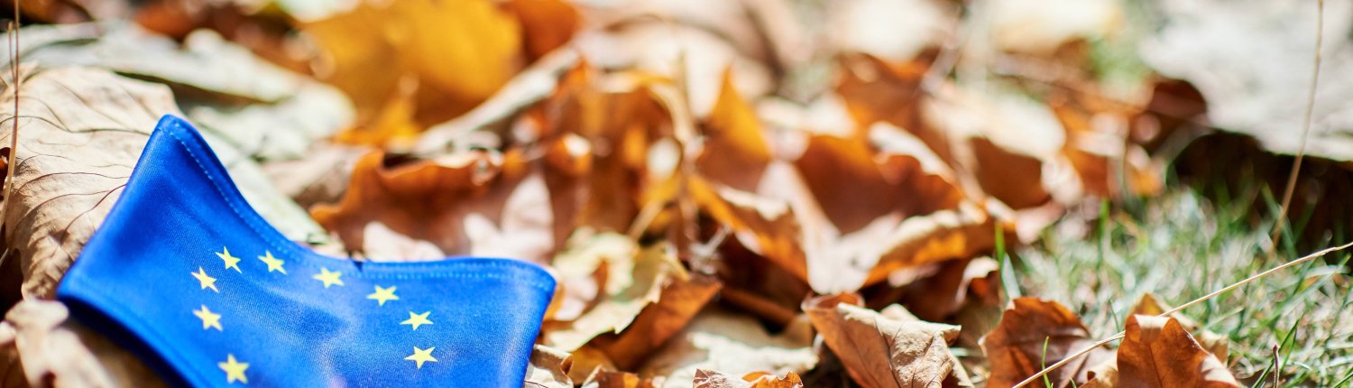 The 17 new research projects funded by the European Commission will serve to achieve some of the objectives of the EU Soil Mission.