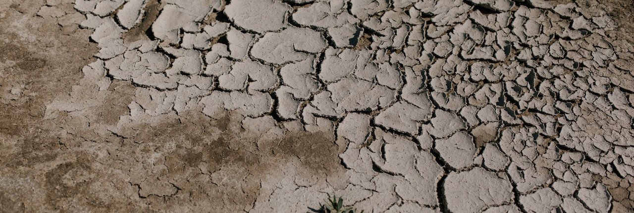 Ogni anno, a causa degli eventi naturali catastrofici, sono andati perduti 123 miliardi di dollari, pari al 5% del PIL annuale dell'agricoltura mondiale. FOTO: Julia Volk https://www.pexels.com/it-it/foto/terra-asciutta-incrinata-nella-zona-del-deserto-5273091/