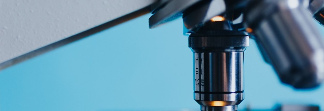 Nanoparticles allow pesticides to be applied directly where they are needed while reducing the amount used. Photo: Pxhere CC0 Public Domain Free for personal and commercial use No attribution required