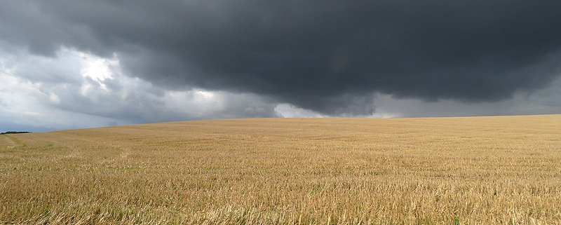 In agricultural systems based on the contribution of rainfall, the ability of the soil to retain water is decisive in providing adequate yields: Photo: John Sutton CC BY-SA 2.0 DEED Attribution-ShareAlike 2.0 Generic