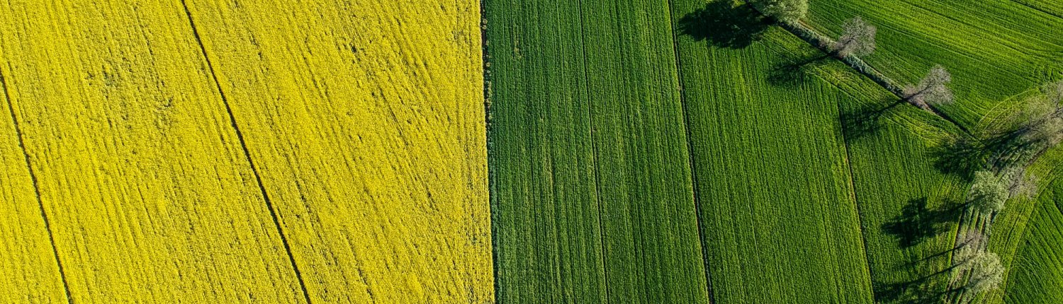 In un quarto del suolo italiano, il tasso di sostanza organica è sotto la soglia che consente al sistema suolo/pianta di veder garantite funzioni nutrizionali. FOTO: Matteo Berlenga