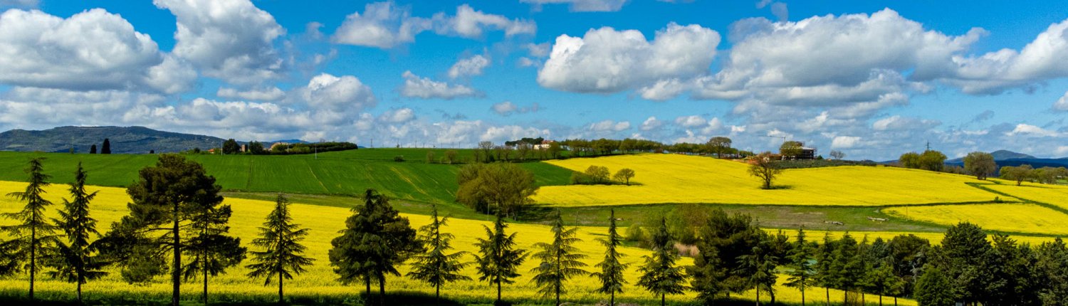 Ripensare il sistema agricolo e alimentare mondiale è essenziale per ridurne l'impatto su clima, ecosistemi e limiti planetari. FOTO: Matteo Berlenga.