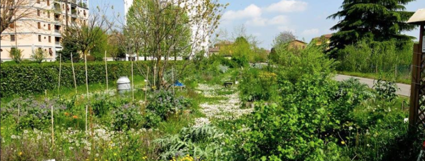 L'esperienza di Fruttorti a Parma è una delle best practice citate dalla FAO per un uso virtuoso ed equo delle foreste urbane. FOTO: Fruttorti.