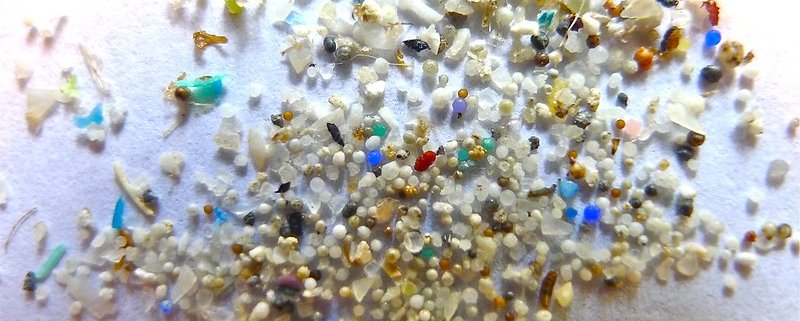 Le microplastiche sono un pericoloso e diffuso fattore di inquinamento per il terreno. Foto: Oregon State University CC BY-SA 2.0 DEED Attribution-ShareAlike 2.0 Generic