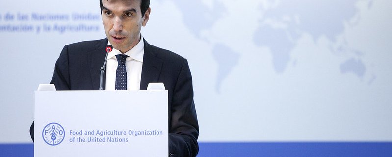 Già ministro italiano dell'Agricoltura, Maurizio Martina è vicedirettore generale della FAO. FOTO: FAO Press archive.