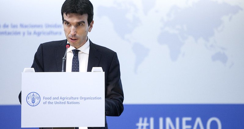 Già ministro italiano dell'Agricoltura, Maurizio Martina è vicedirettore generale della FAO. FOTO: FAO Press archive.