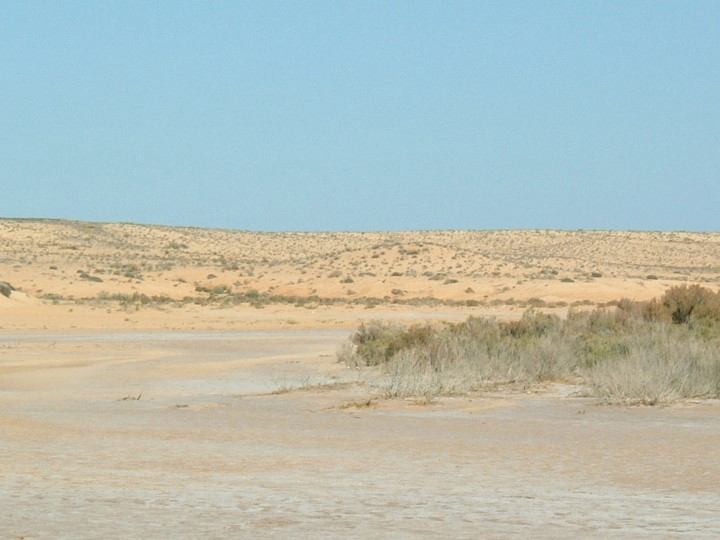 Area a pre-deserto e deserto nei pressi di Matmata, Tunisia meridionale. Le cause della incipiente desertizzazione sono siccità e salinizzazione (le efflorescenze biancastre in superficie sono date da sali, di cui il cloruro di sodio è il principale). FOTO: Stefania Cocco