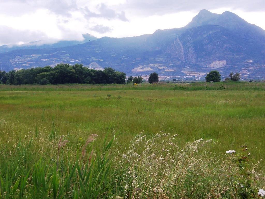 Fondata nel 1935, Società Agricola Terzeria è un'azienda attiva nella Piana di Sibari, in Calabria, che fa parte della rete della Lighthouse Farms di Re Soil Foundation. Foto: Terzeria