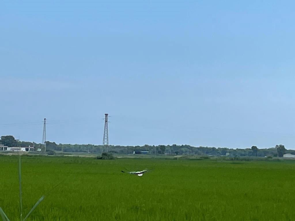 Società Agricola Terzeria