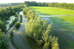 Villarasca Neorurale S.N.C.