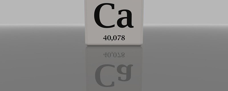 Adding calcium to the soil changes the microbial community and the way it processes organic matter Photo: fdecomite CC BY 2.0 DEED Attribution 2.0 Generic
