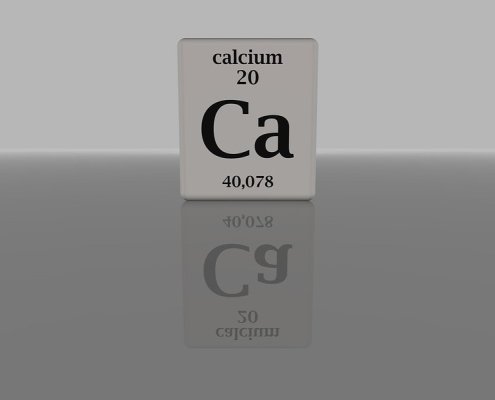 L’aggiunta di calcio al suolo modifica la comunità microbica e il modo in cui essa elabora la materia organica Foto: fdecomite CC BY 2.0 DEED Attribution 2.0 Generic