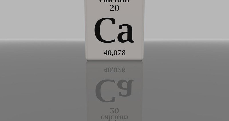 L’aggiunta di calcio al suolo modifica la comunità microbica e il modo in cui essa elabora la materia organica Foto: fdecomite CC BY 2.0 DEED Attribution 2.0 Generic