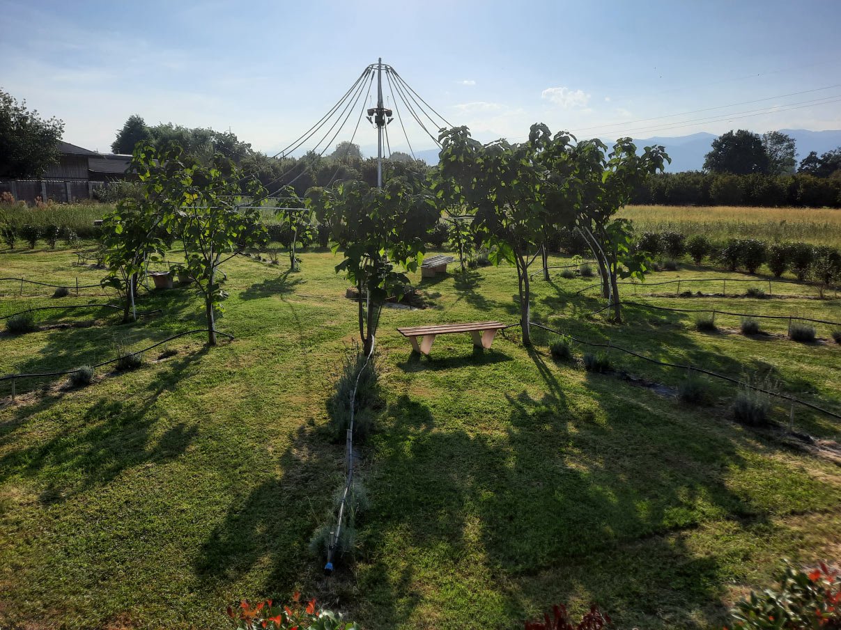 Cascina Felizia è una delle sedici aziende pioneristiche individuate da Re Soil Foundation come "Lighthouse farms" in virtù dei modelli innovativi di protezione del suolo e dell’ambiente adottati. Foto: Cascina Felizia