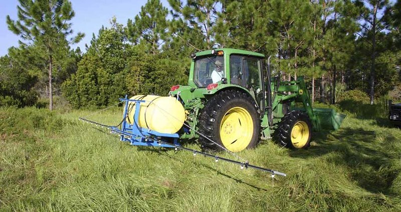 Invasive weed allegedly developed some adaptability to glyphosate thus reducing its effectiveness. Photo: FWC Fish and Wildlife Research Institute