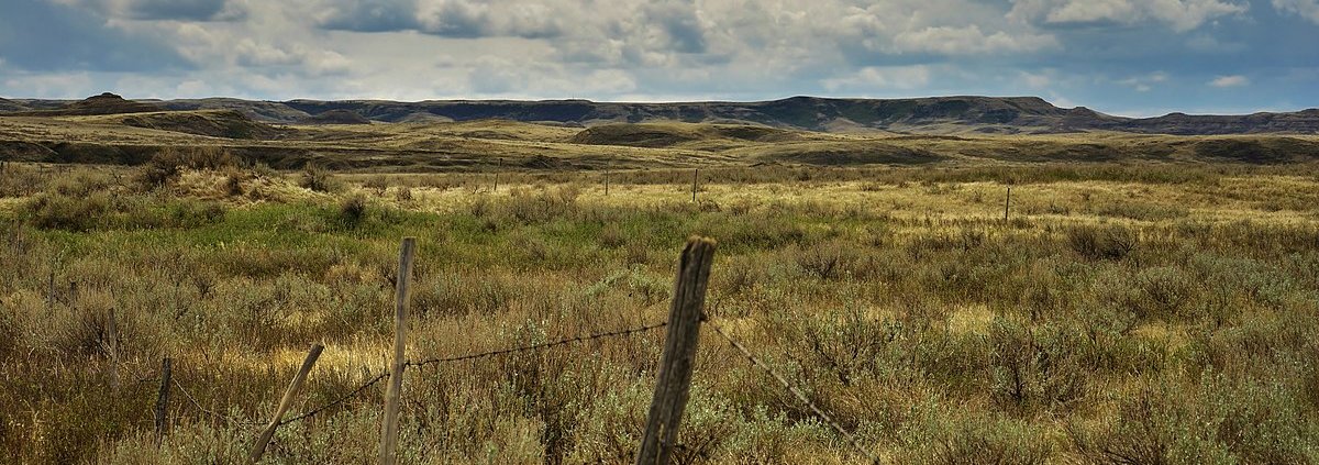Grasslands store one-third of the Earth's global carbon stock. Photo: Eric Van Lochem CC BY-SA 4.0 DEED Attribution-ShareAlike 4.0 International