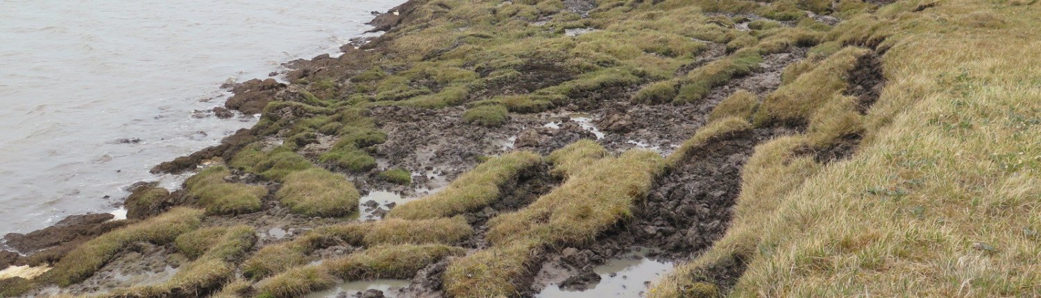 Il Regno Unito è uno degli Stati europei con il maggiore tasso di erosione. FOTO: Neon Science, Flickr.