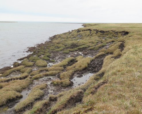 Il Regno Unito è uno degli Stati europei con il maggiore tasso di erosione. FOTO: Neon Science, Flickr.