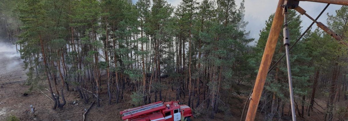 The study analyzed changes in forest cover in the Emerald Network protected areas located in the Luhansk region, which has been under partial Russian control for the past ten years. Photo: State Emergency Service of Ukraine CC BY-SA 4.0 DEED Attribution-ShareAlike 4.0 International