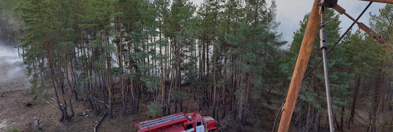 The study analyzed changes in forest cover in the Emerald Network protected areas located in the Luhansk region, which has been under partial Russian control for the past ten years. Photo: State Emergency Service of Ukraine CC BY-SA 4.0 DEED Attribution-ShareAlike 4.0 International