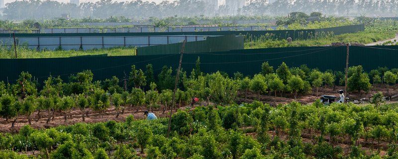 Strategies such as extending the lifespan of infrastructure and recycling waste with subsequent transformation into inputs enable urban agriculture to largely reduce its climate impact. Credit: ©2015CIAT/GeorginaSmith CC BY-NC-SA 2.0 DEED Attribution-NonCommercial-ShareAlike 2.0 Generic