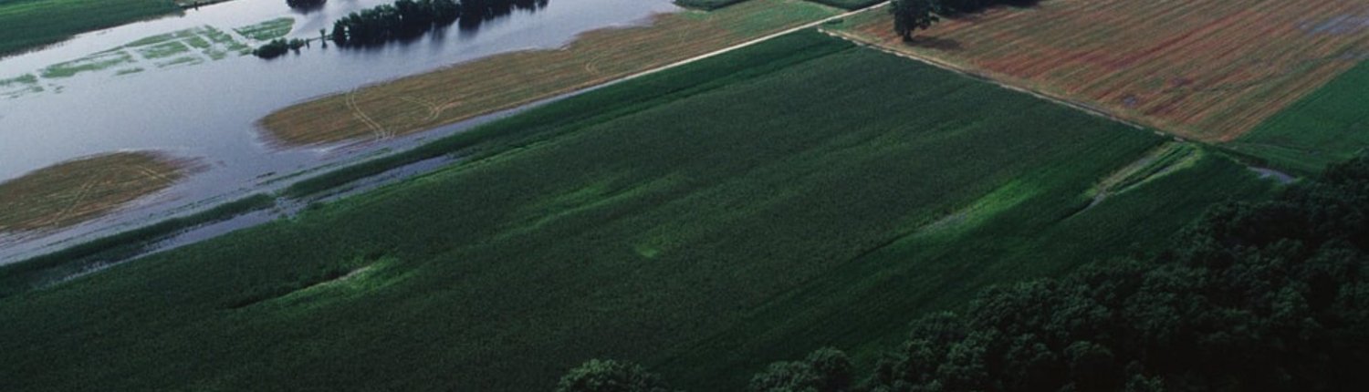 In occasione degli eventi alluvionali le colture di copertura riducono la dispersione di nitrati e fosforo dal suolo. SSGT Paul Griffin Release Status: Released to Public Combined Military Service Digital Photographic Files