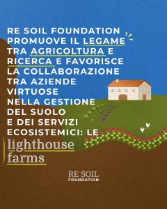 regoli lighthouse farms