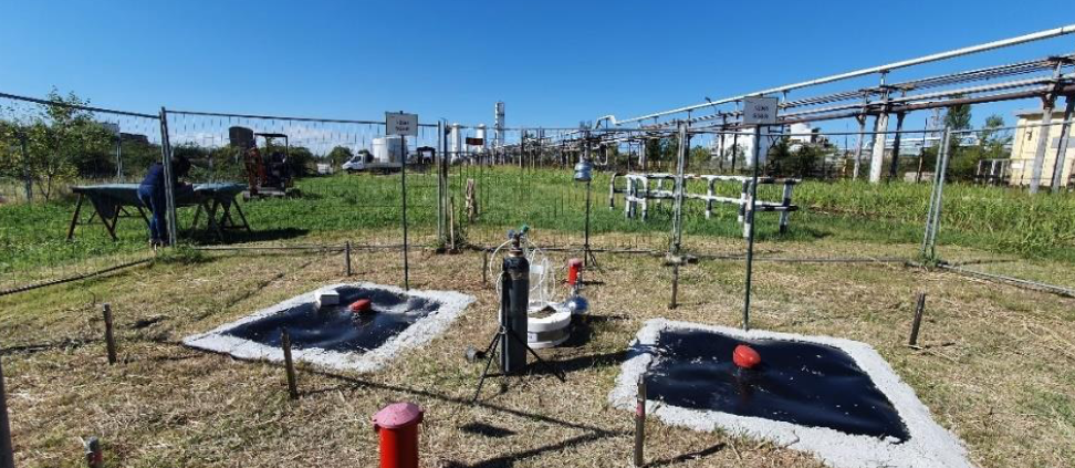 Il campo prova per la sperimentazione effettuata a settembre 2022 nel sito di Porto Marghera. FONTE: ISPRA, 2023.