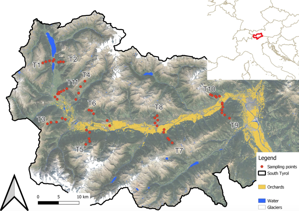 La collocazione dei "transetti altitudinali" collocati dai ricercatori austriaci e tedeschi nelle diverse aree della Val Venosta in Alto Adige alla ricerca dei pesticidi. FONTE: Widespread contamination of soils and vegetation with current use pesticide residues along altitudinal gradients in a European Alpine valley, 2024.