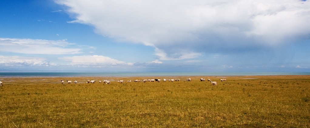 In the 21st century, the share of China's grasslands subject to severe and moderate desertification fell from 52 percent to 37 percent. Photo: neverdance CC BY-SA 3.0 DEED Attribution-ShareAlike 3.0 Unported