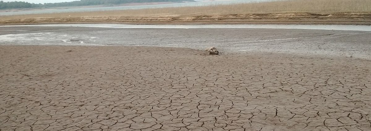 Le simulazioni indicano che in futuro i fenomeni di siccità composta saranno più frequenti a causa dei cambiamenti climatici Foto: Sreyasvalsan CC BY-SA 4.0 DEED Attribution-ShareAlike 4.0 International